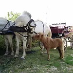 בית הארחה La Siesta וילה פרנקה די ורונה