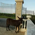 La Siesta Villafranca di Verona