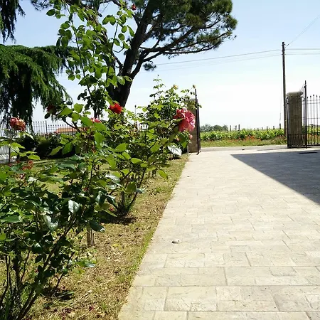Guest house La Siesta