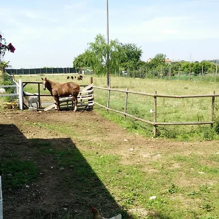 Guest house La Siesta *