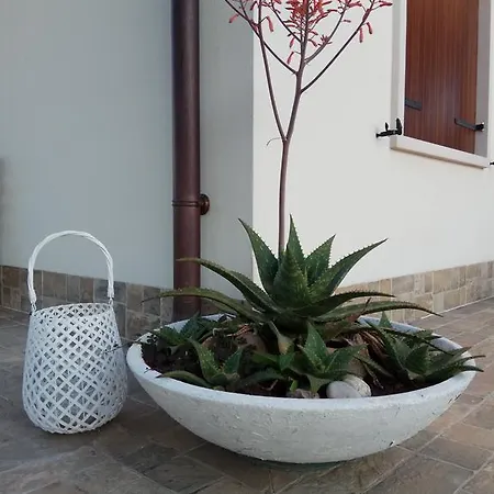 La Siesta Guest house *