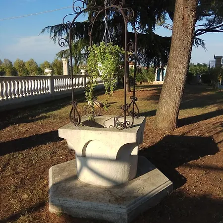 Guest house La Siesta