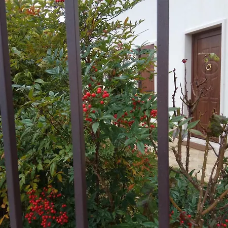 La Siesta Maison d'hôtes *