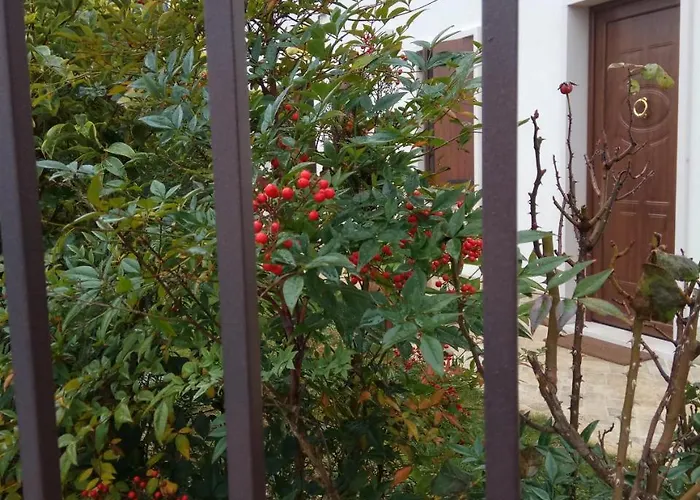 La Siesta Guest house 3*